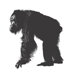 silhouette orang utan animal full body black color only