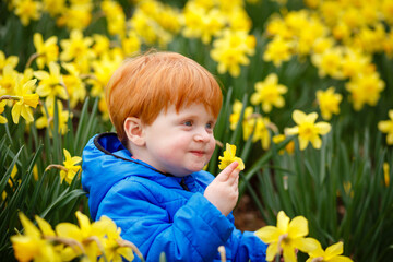 Portrait of a red-haired Ukrainian boy sitting among flowers.​