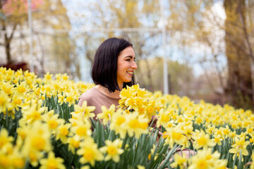 Narcissus field. The girl is holding a large fragrant bouquet of yellow flowers