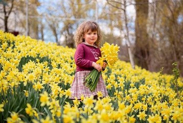 A girl holds a large bouquet of yellow daffodils in a garden in March. In the background is a large...