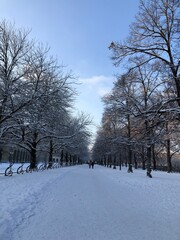 winter in the park