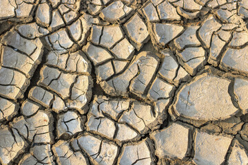 dry cracked earth