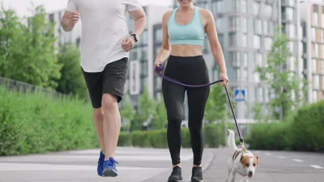 A young positive sportive family of a guy and a girl, has a morning jog with pet, a Jack Russell Terrier dog, outdoors in the city park against the backdrop of highrise buildings. The concept of