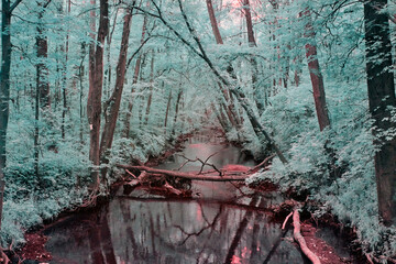 Ethereal Turquoise Forest Reflections with Infrared Effect