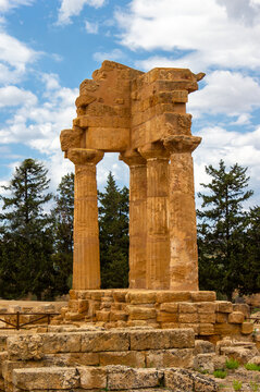 Ruinas de Akragas, Agrigento, Sicilia, Templo dei Dioscuri o de Castore e Polluce, vista con pinos