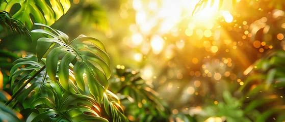 Foto auf Acrylglas Bright Sunlight Through Summer Trees, Fresh Green Foliage, Soft Bokeh Effect, Natures Beauty in Spring © Jahid