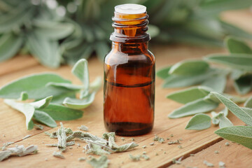 Clary sage essential oil or extract in glass bottle with fresh leaves on wooden rusric background, closeup, aromatherapy, skincare, stress treatment concept