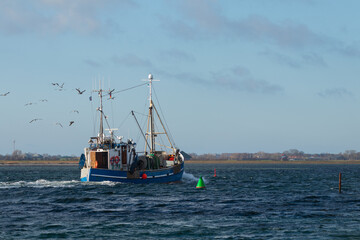 Fischkutter mit Möwen an der Ostsee