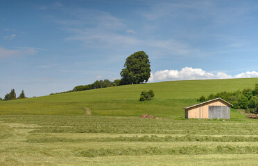 Hopfensee