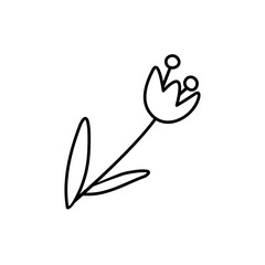 Tulip vector illustration in doodle style.