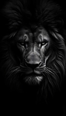 Naklejka premium Black Lion