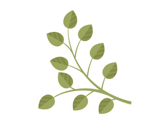 Leaves vector illustration. In realm botany, leaves and foliage embody very essence life Growing garden instills deep appreciation for intricate world leaves Leaves grow and intertwine, creating lush