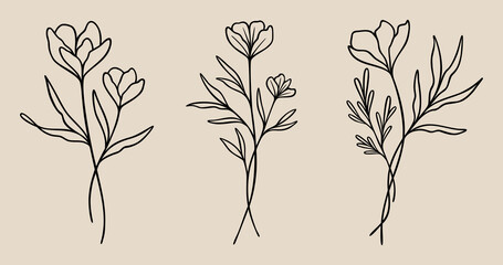 Flower Line Art Bundle | Wildflower Vector Illustrations | Botanical Leafy Floral Designs
