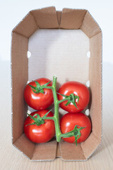 Four red tomatoes inside a vertical cardboard box - 741762760