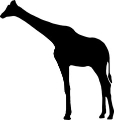 Transparent giraffe icon png, vector illustration of an giraffe icon in dark color and transparent background(png)