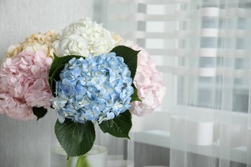 Beautiful hydrangea flowers in vase indoors, closeup