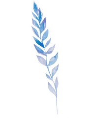 Watercolor blue twig with leaves isolated illustration, pastel wedding element