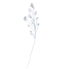 Watercolor light grey wildflowers isolated illustration, floral wedding and greeting element