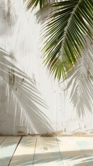 Fototapeta na wymiar Palm leaves shadow on a white concrete wall