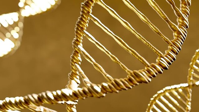 Abstract animated construction of a DNA gold molecule from particles Motion graphic of detailed digital interface of futuristic DNA analysis process futuristic DNA Medical science 3D
 - Powered by Adobe