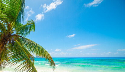 Blue sky over a tropical beach with turquoise water - 741795908