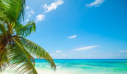Crédence de cuisine en verre imprimé Anse Source D'Agent, île de La Digue, Seychelles Blue sky over a tropical beach with turquoise water