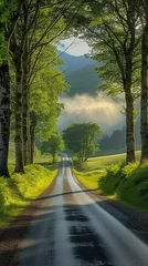  Country road through the forest © Molostock