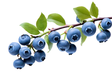 Poster Branch of delicious ripe blueberries, cut out © Yeti Studio