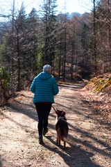 a border collie dog walks on a leash with its owner on a mountain trail