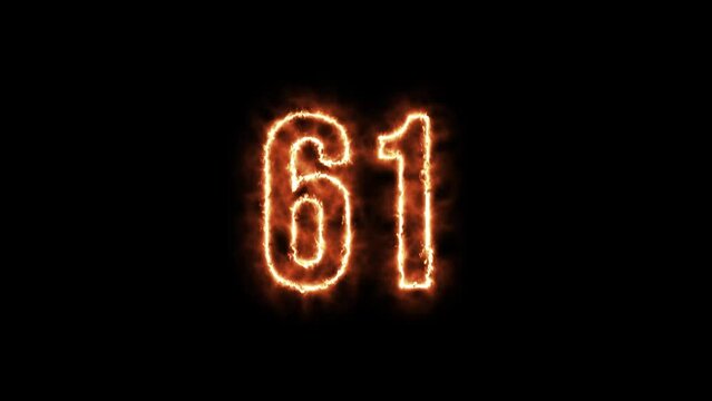 Number 61 fire Animation on a black background. Number Sixty one is burning in flames Animation on Isolated Black Background