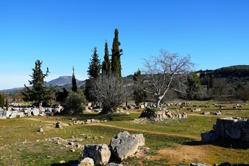 View of the ancient Nemea archaeological site. The trees show the excavation depth