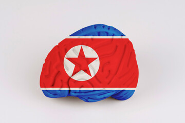 On a white background, a model of the brain with a picture of a flag - North Korea