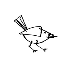 Bird. Hand drawn graphic vector. Contour lines pencil drawing.