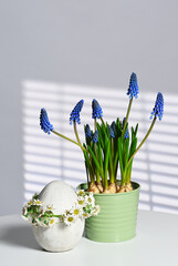 Beautiful Easter composition - 741808560