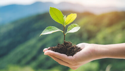 Ecology, eco-friendly growing tree plant on volunteer's hand natural background for go green, Arbor day, reforestation sustainable bio forest saving environment ecosystems conservation csr concept