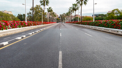 An empty asphalt road decorated with flowers and palm trees.