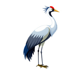 Crane Bird vector isolated on white