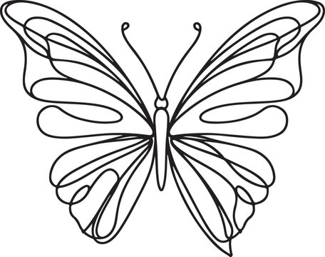Black and white butterfly vector