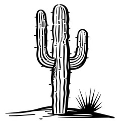 Monochrome Saguaro Cactus Sketch