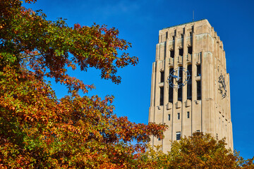 Autumnal Clock Tower at University of Michigan, Ground View