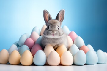 a bunny rabbit sitting in a circle of eggs