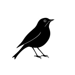 European Robin Bird Logo Design