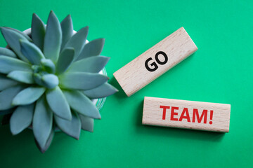Go Team symbol. Concept word Go Team on wooden blocks. Beautiful green background with succulent...