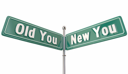 New You Vs Old Self Me Confidence Direction Path Future Success Signs 3d Illustration