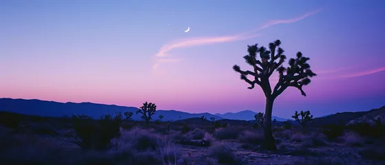Foto op Plexiglas A cactus tree stands against a purple sky during dusk in the natural landscape © Kseniya