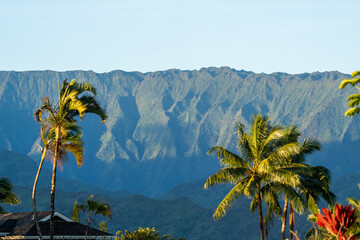 hawaiian landscape 
