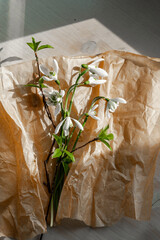 Snowdrop spring flowers with sprigs on crumpled parchment paper. First spring bouquet.