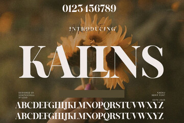  san serif font, suitable for logo, logotype, monogram, flyer, poster