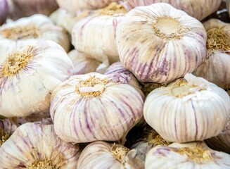 Garlic at the market display stall