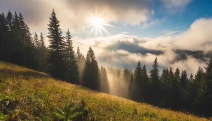 sun light through fog and clouds above the forest spruce trees on the hill viewed from below magical nature scenery in autumn beautiful morning dreams concept - obrazy, fototapety, plakaty